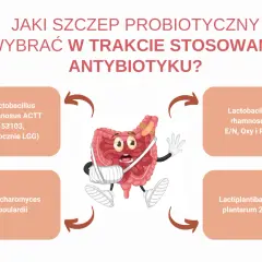 Grafika przedstawia jelita z opatrunkami, sugerując potrzebę leków osłonowych przy antybiotyku. Wokół jelit umieszczono nazwy probiotyków.