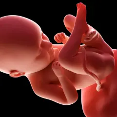 Ile ruchów dziecka w 35 tygodniu ciąży – co powinno niepokoić?