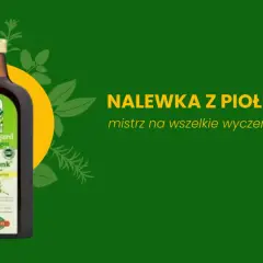 Butelka nalewki z piołunu Maitrunk Hildegard von Bingen. Mistrz na wszelkie wyczerpania.