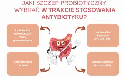 Grafika przedstawia jelita z opatrunkami, sugerując potrzebę leków osłonowych przy antybiotyku. Wokół jelit umieszczono nazwy probiotyków.