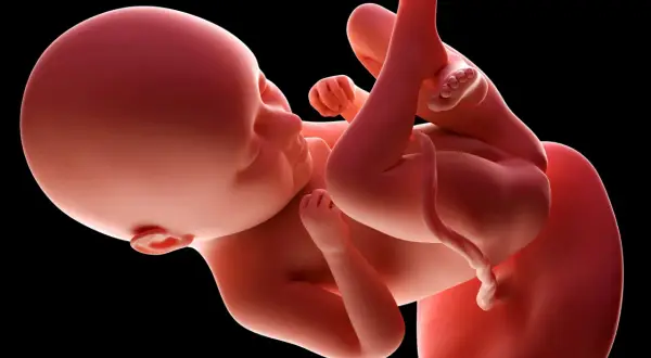 Ile ruchów dziecka w 35 tygodniu ciąży – co powinno niepokoić?