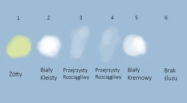 Jaki śluz oznacza ciążę? Odkryj ważne zmiany i ich znaczenie