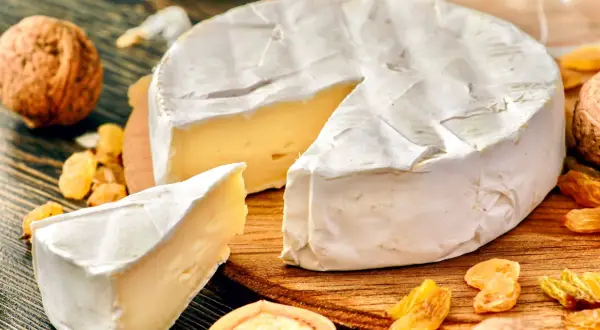 Kawałek sera camembert z białą pleśnią, orzechami i rodzynkami. Czy ser camembert jest zdrowy? W umiarkowanych ilościach może być częścią zbilansowanej diety.
