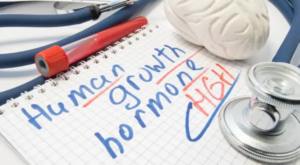 Czy hormon wzrostu jest sprzedawany w aptekach? Stetoskop, probówka i notatnik z napisem "Human growth hormone" sugerują medyczne zapytanie.