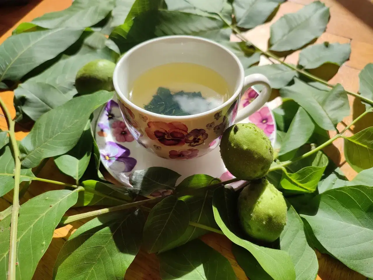 Aromatic napar z liścia orzecha włoskiego w filiżance, otoczony świeżymi liśćmi i zielonymi orzechami.