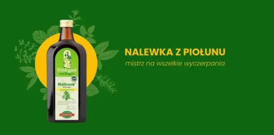 Piołunówka: Przepis, Korzyści i Kluczowe Zasady Bezpieczeństwa